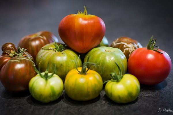Packshot Tomates